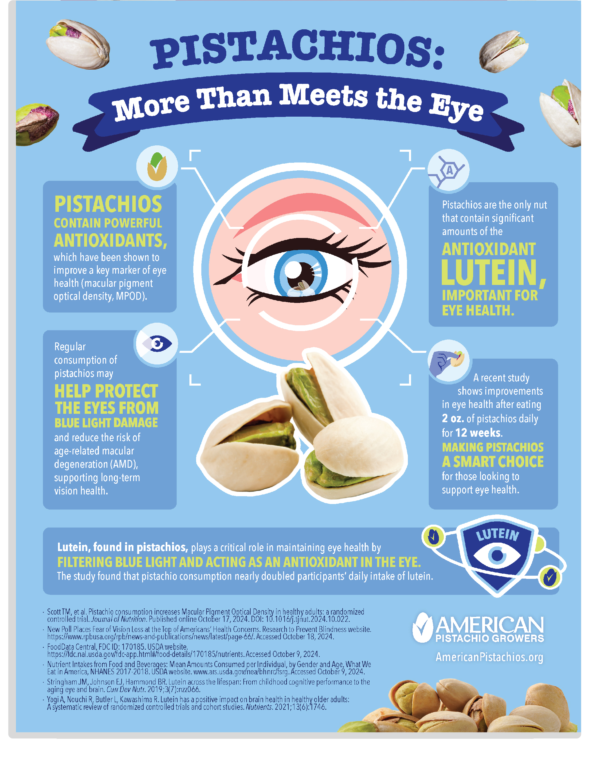 APG Eye Health Infographic